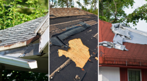 Forth Multi Trade Roofing