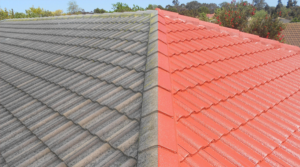 Forth Multi Trade Roofing
